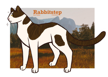 Reference sheet example